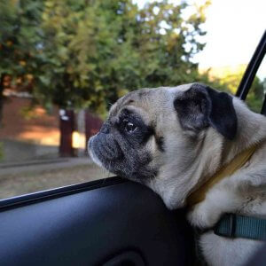 car window repair