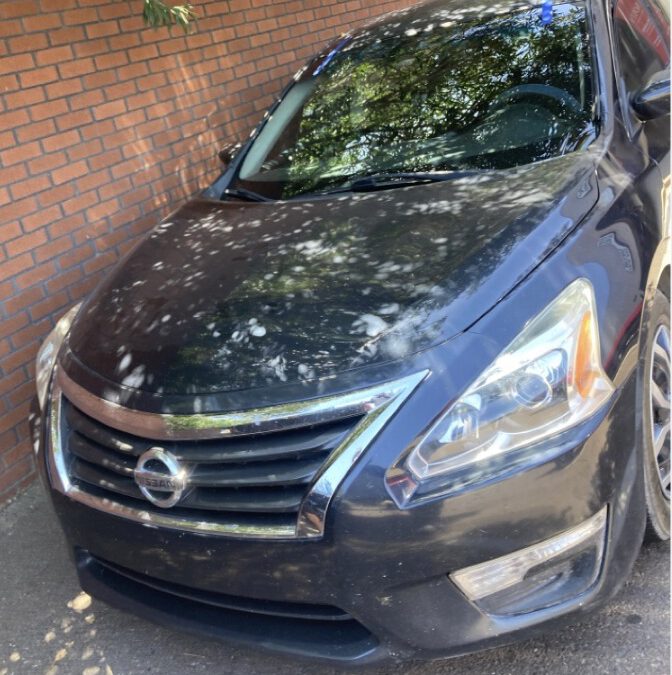 2013 NISSAN ALTIMA